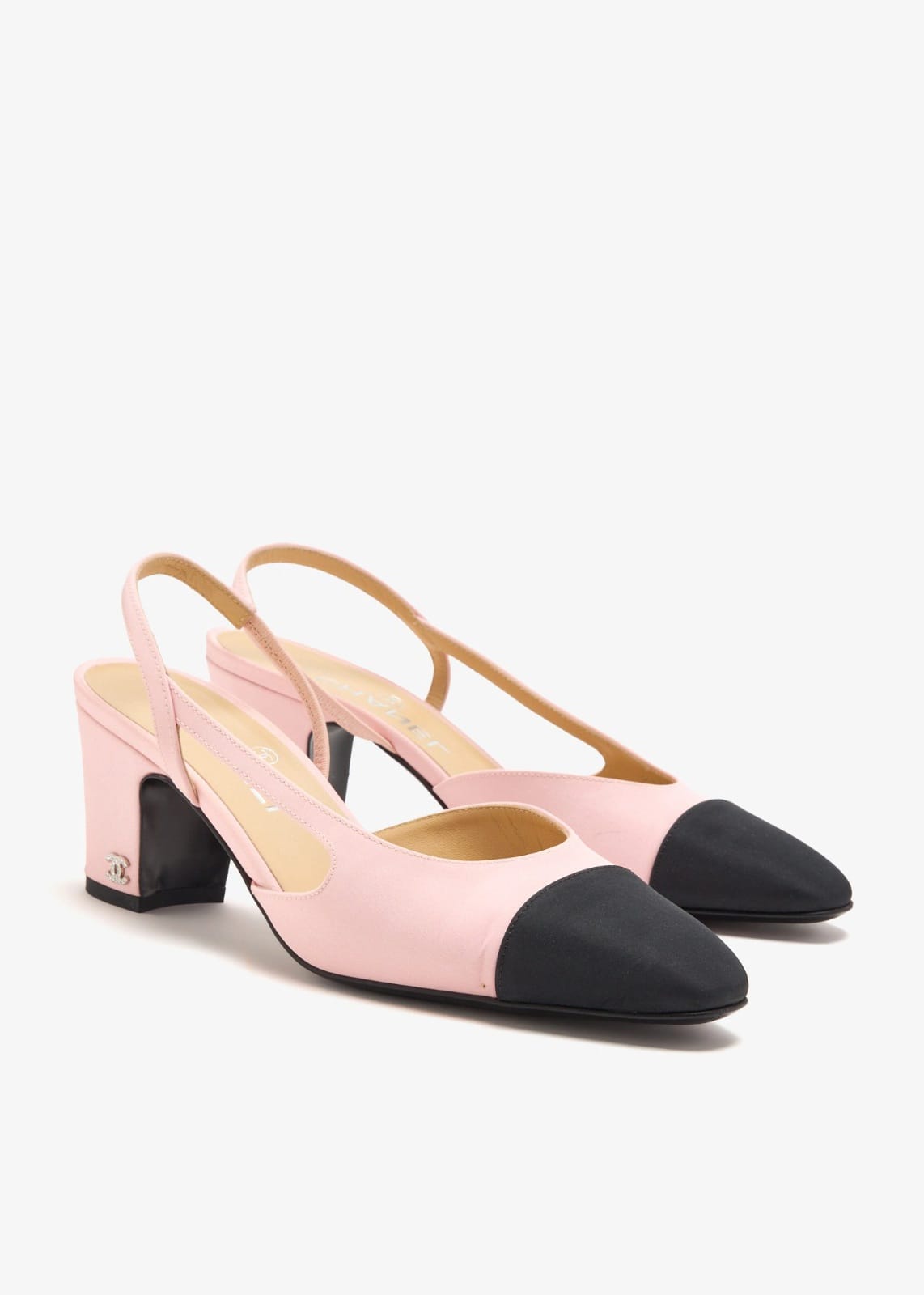 WhatsApp Image 2026-02-12 at 14.36.21